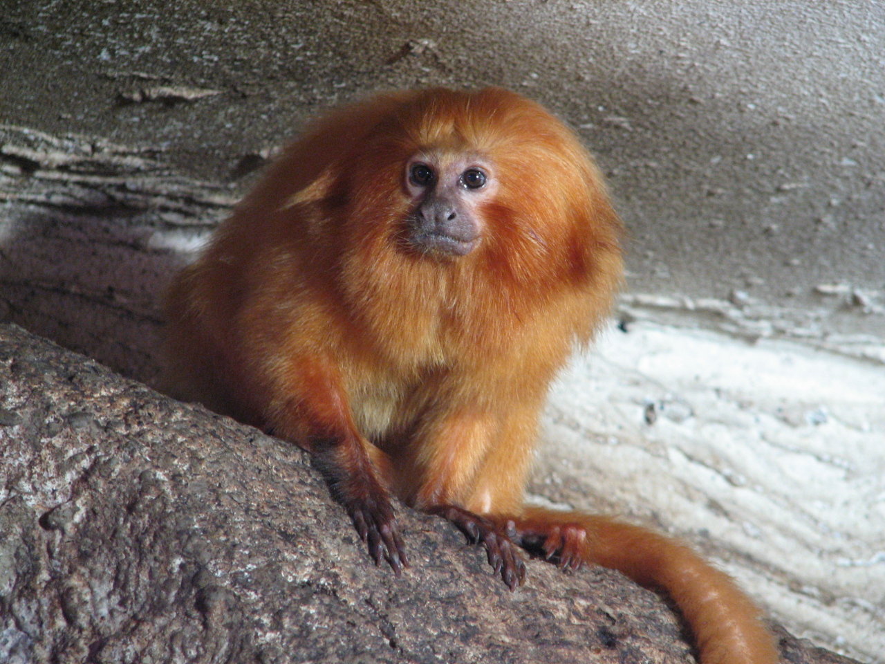 ZOO Jihlava