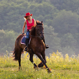 Rodinný ranč Gallop