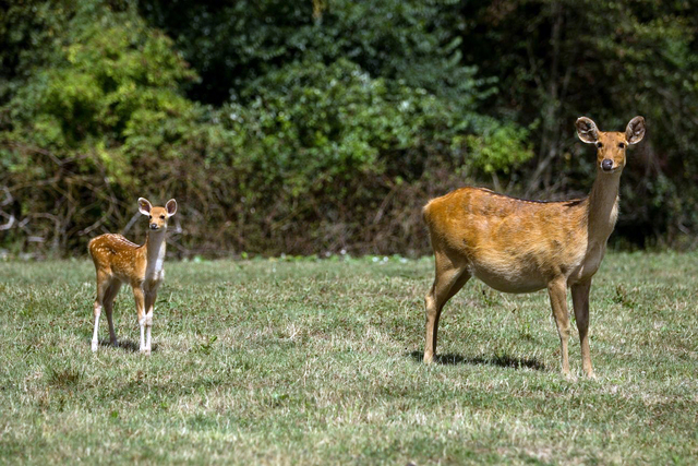 ZOO Ostrava