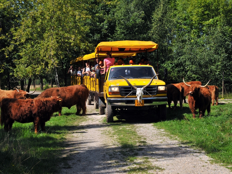 Podkrušnohorský zoopark