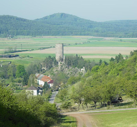 Zřícenina hradu Žebrák