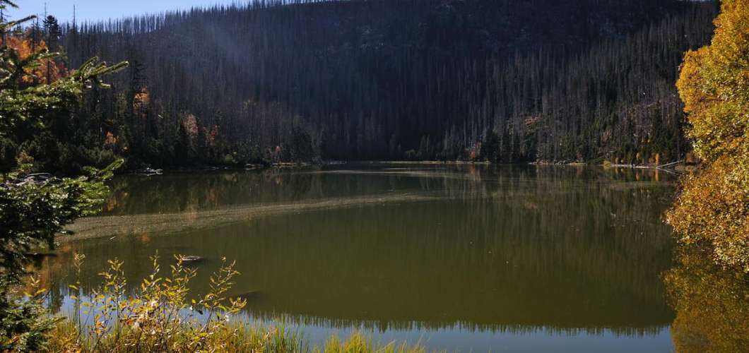 Plešné jezero