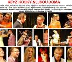 39750-kdyz-kocky-nejsou-doma-5.jpg
