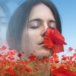 Jako břitva B.Němcová 5.jpg