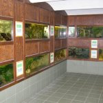 rybarske-muzeum-ve-vodnanech-akvarium-1.jpg