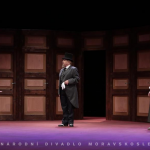 Španělská muška 1png.png