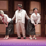 Španělská muška4.png