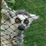 Zoopark-Zajezd8.jpg
