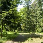 arboretum-stredni-lesnicke-technicke-skoly-v-hranicich-na-morave-3.jpg