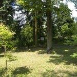 arboretum-stredni-lesnicke-technicke-skoly-v-hranicich-na-morave-4.jpg
