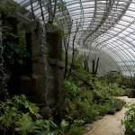 botanicka-zahrada-v-troji-6.jpg