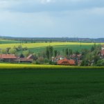 cicovice-1.jpg