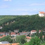 dolni-kounice-1.JPG