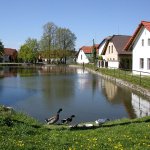 doubek-1.jpg
