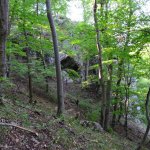 habruvecka-bucina-narodni-prirodni-pamatka-4.jpg