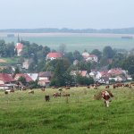 heralec-okres-zdar-nad-sazavou-1.JPG
