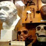 hrdlickovo-muzeum-cloveka-2.jpg