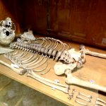 hrdlickovo-muzeum-cloveka-3.jpeg