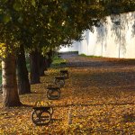 kampa7.jpg