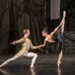 labutí jezero 7.png