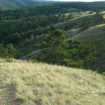 mohelenska-hadcova-step-narodni-prirodni-pamatka-3.jpg