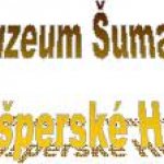 muzeum-sumavy-kasperske-hory-6.jpeg