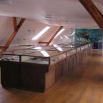 muzeum-trilobitu-ve-skryjich-2.jpg