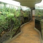 muzeum-vrchlabí2.jpg