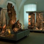 muzeum-vrchlabí6.jpg