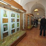 muzeum-vrchlabí7.jpg