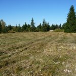 na-požárech-národní přírodní-památka-1.jpg