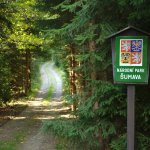 národní-park-šumava3.jpg