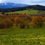 národní-park-šumava5.jpg