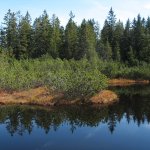 odlezelské-jezero-národní-přírodní-památka-2.jpg