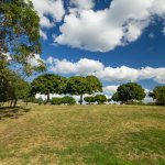 parukarka-4 – kopie.jpg