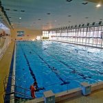 plavecky-bazen-hradec-kralove1.jpg