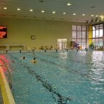 plavecky-bazen-hradec-kralove5.jpg
