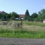 prikosice-2.jpg