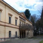 ratmerice-1.jpg