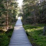 rejvíz-narodni-prirodni-pamatka-2.jpg