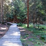 rejvíz-narodni-prirodni-pamatka-4.jpg