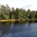 rejvíz-narodni-prirodni-pamatka-5.jpg