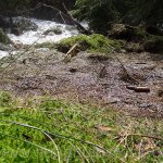 rejvíz-narodni-prirodni-pamatka-7.jpg