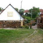 rojetin-1.jpg