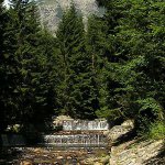 rozhledna-zaly2.jpg