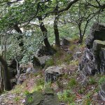 sedlo-narodní přírodní památka-3.jpg