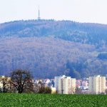 suchy-dul-1.jpg