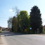svojetice-1.jpg
