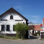 svojetice-3.jpg