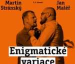 ENIGMATICKÉ VARIACE aneb láska až za hrob